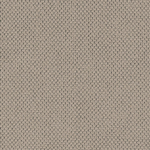 curio-11_CURIO-11.jpg