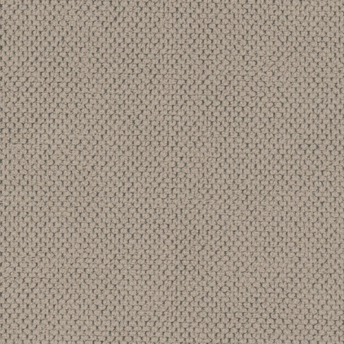curio-11_CURIO-11.jpg